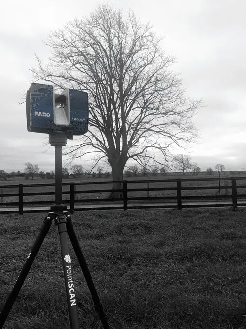 3D laser scanning tree survey and land survey