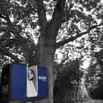 PointSCAN arboricultural tree survey